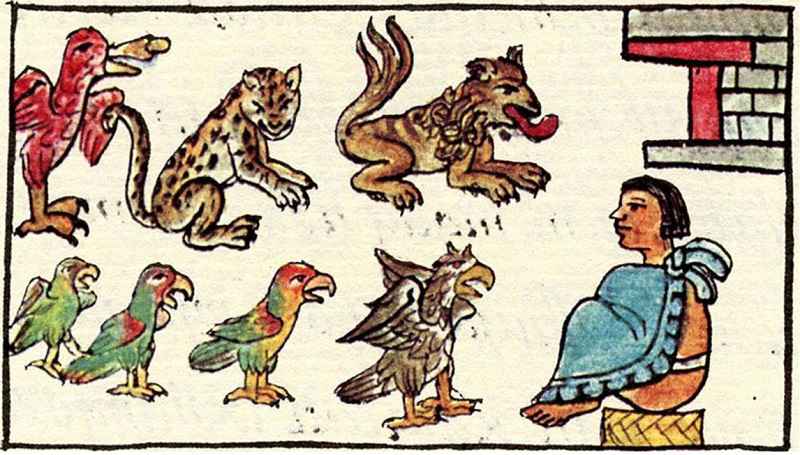 Alcuni animali presenti nello zoo di Montezuma, dal Codice Fiorentino, 1577