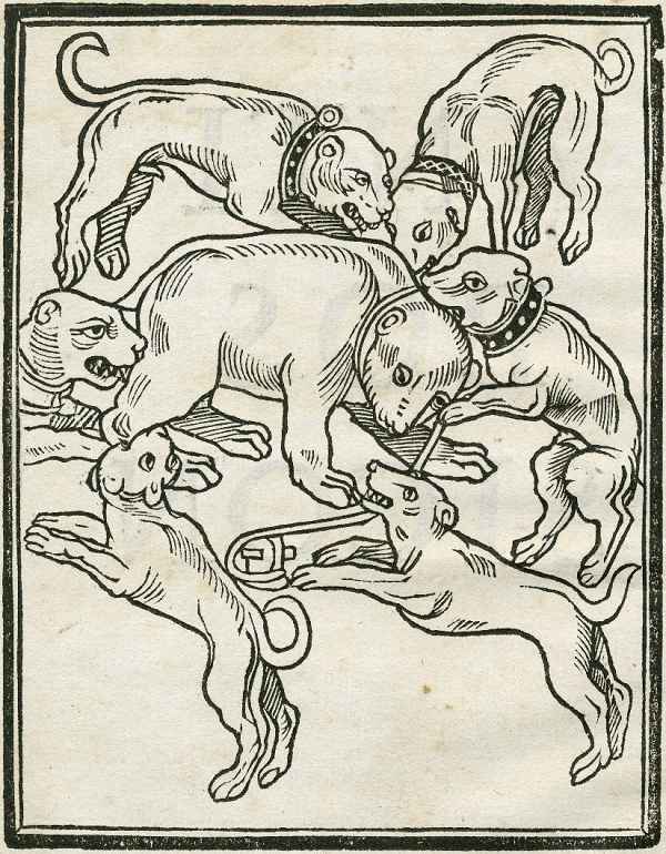 Immagine dall' Antibossicon di William Lily (1521). Folger Digital Image Collection