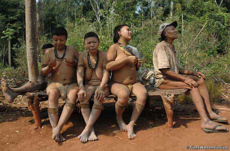 Gli ultimi 5 esponenti della tribù Akuntsu rimasti in vita dopo il massacro del loro popolo