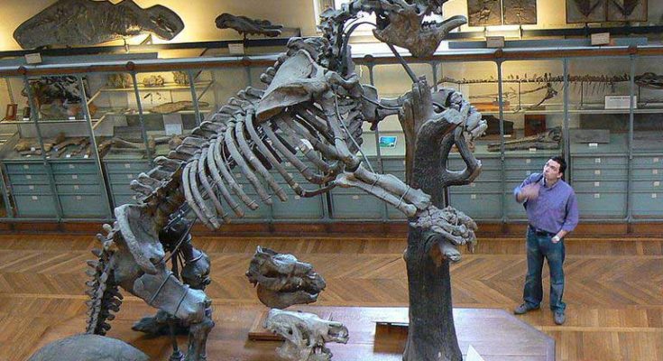 Caccia al bradipo gigante Megatherium