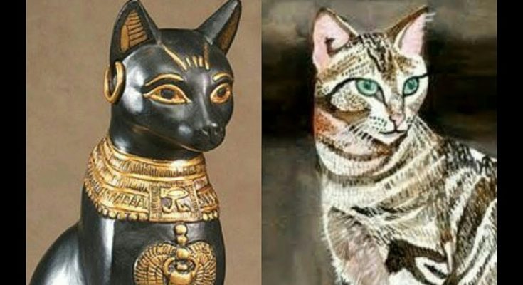 Gatti nell' antico Egitto