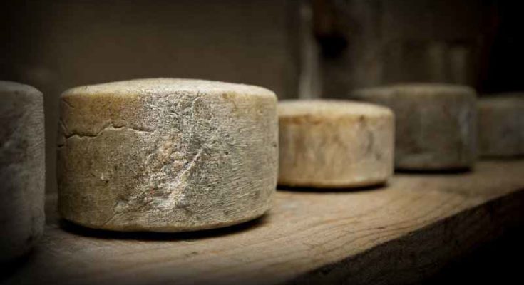 Come si produceva il formaggio in antichità?
