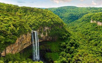 La foresta amazzonica è stata plasmata dall'essere umano?