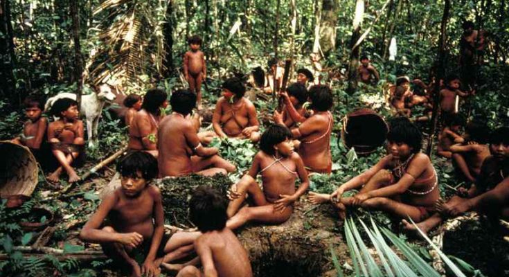 Yanomami indigenous in the Amazon jungle