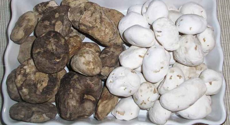 Chuño, le patate liofilizzate degli Inca