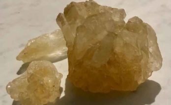 I cristalli di zucchero della dinastia Tang